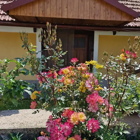 Kuca Za Odmor Vuketich Hills Villa Ozalj Exterior photo
