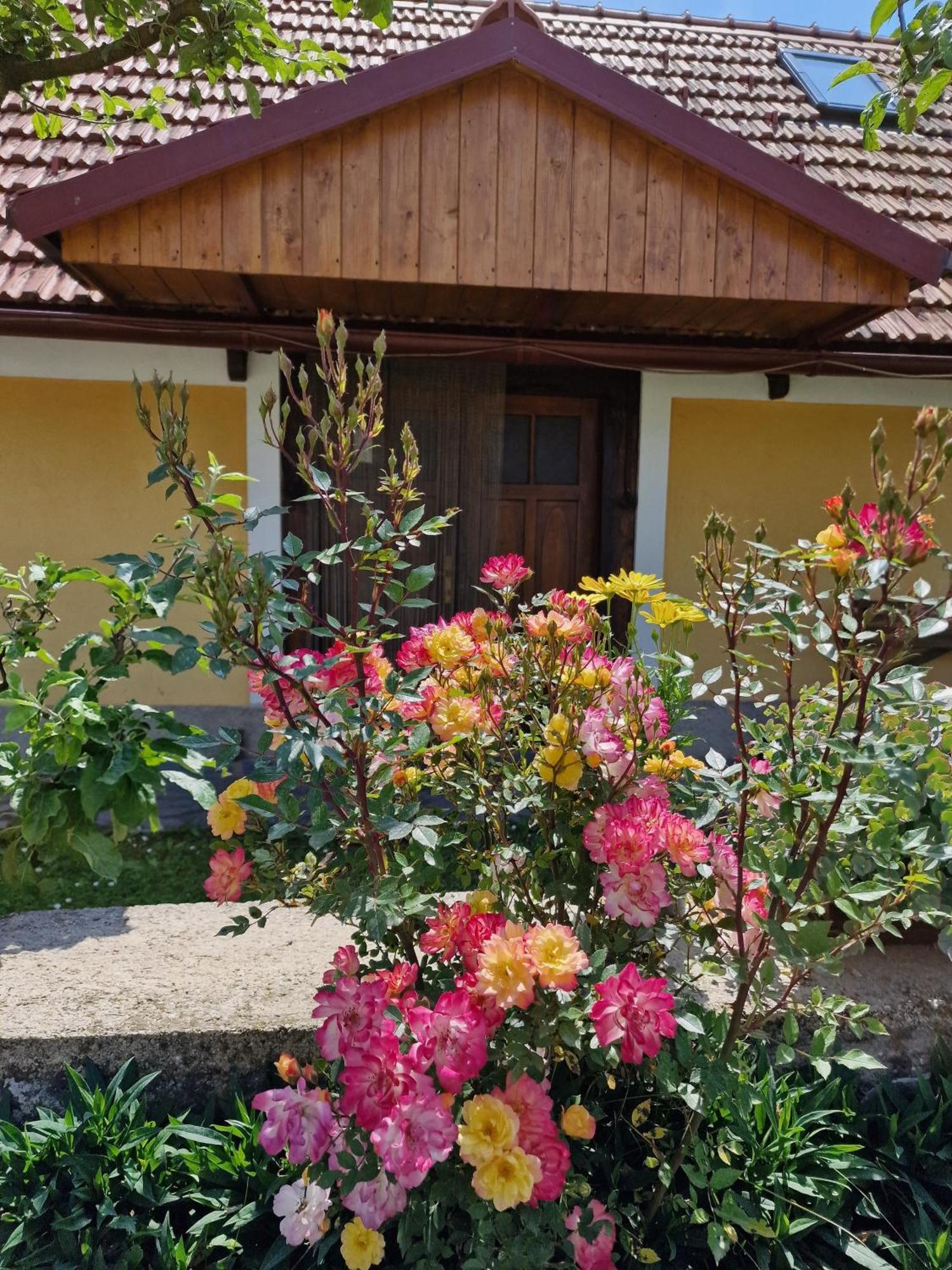 Kuca Za Odmor Vuketich Hills * Ozalj